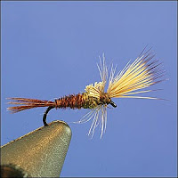 Fly Fishing Traditions: Patterns - Blue Wing Olives 
