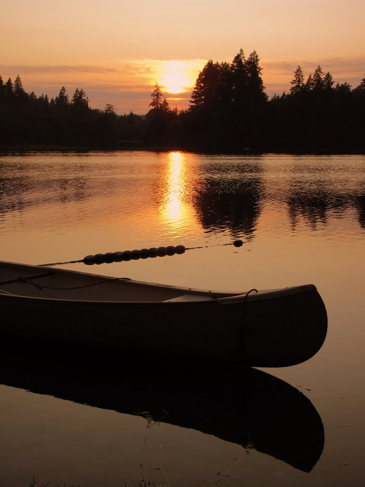 [3796867074_5d1773ae20_o.jpg]