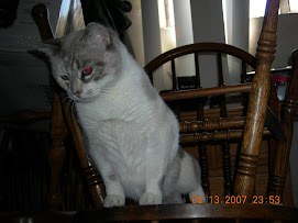 KITTY OD DOOM AWAKANING