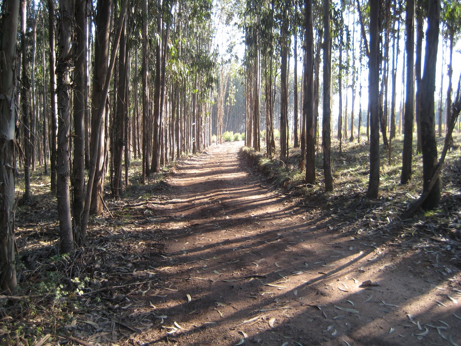 [zz+IMG_0002+(37).JPG]