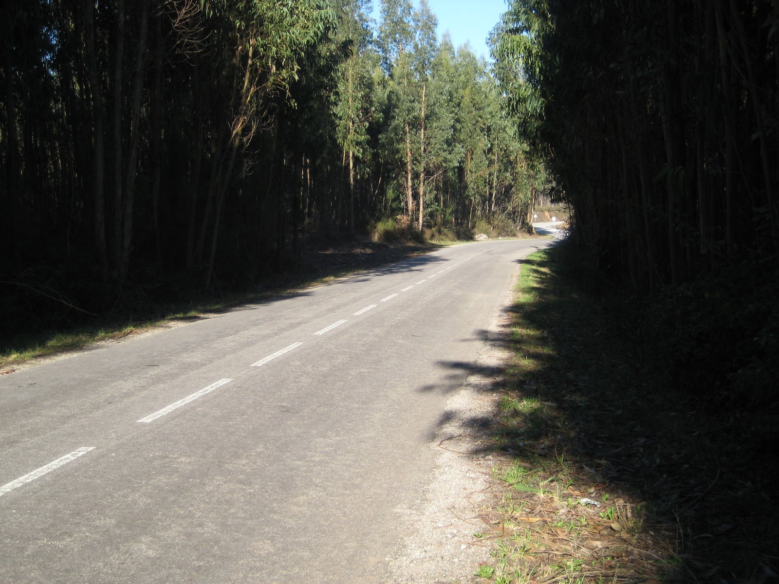 [zz+IMG_0002+(34).JPG]