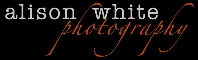 Alison White Photography blog