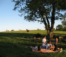 spend the day and bring a picnic lunch