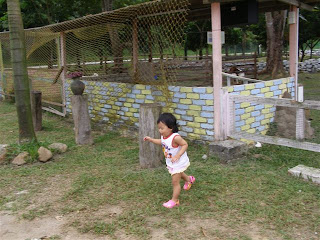 Lempeng: Broga rabbit farm