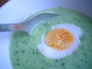 [pinaattikeitto.bmp]