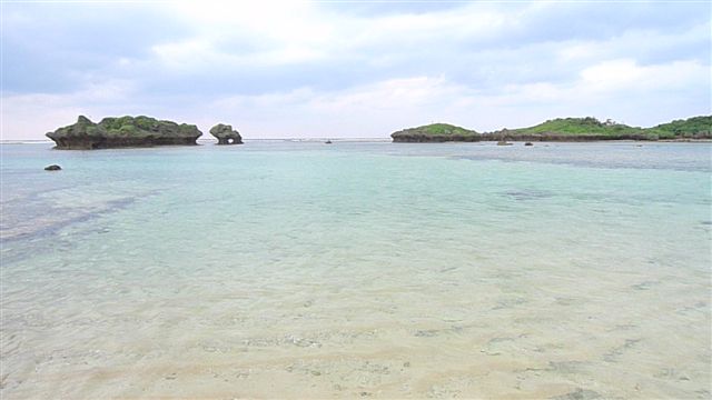 [P1010750-717325.JPG]