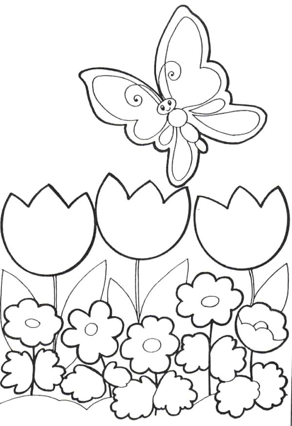 Caminho Feliz Primavera