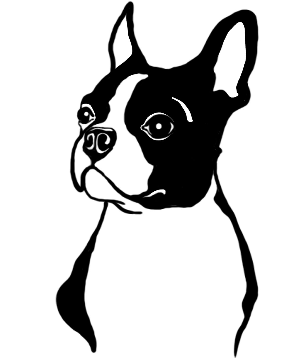 Boston Terrier Boston Terrier Art Illustrations Boston Terrier Art  Boston Terrier Boston Terrier Art Illustrations Boston Terrier Art