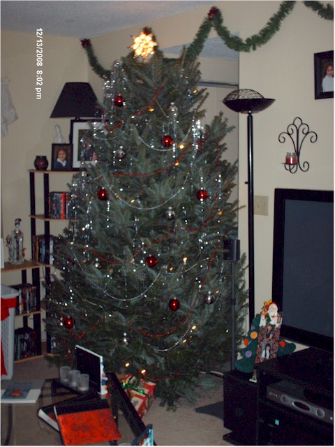 [decoratingtree.jpg]