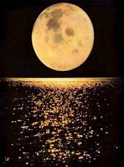 y  en la intensidad nocturna, observa en silencio, la luna de nácar...