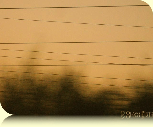 [DSC01146.jpeg]