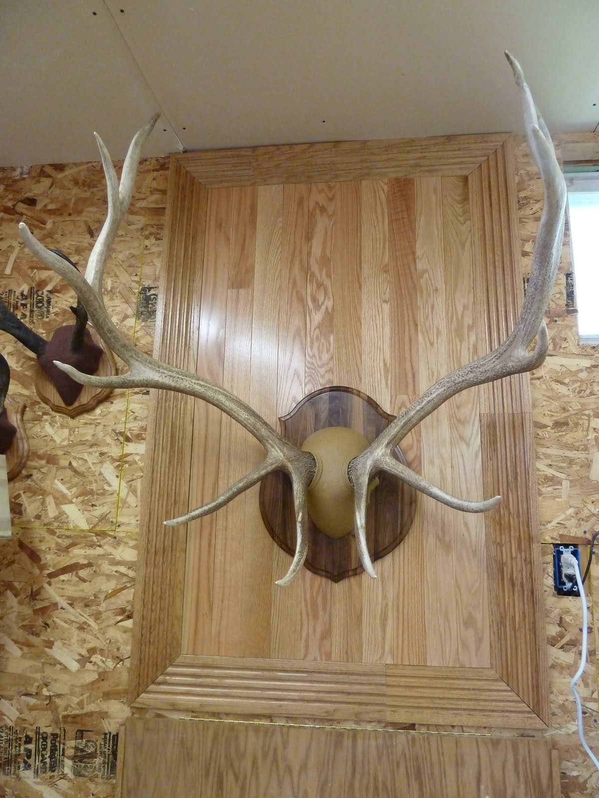 Nick's Garage 4028795835 Elk antler mounts