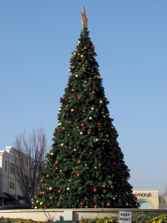Bowie Living Early Signs of Christmas in Bowie