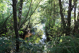 rio Ulla -Ponte Merced