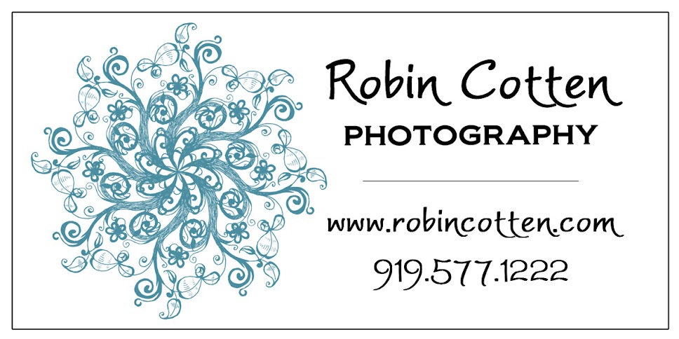 Robin Cotten Photography