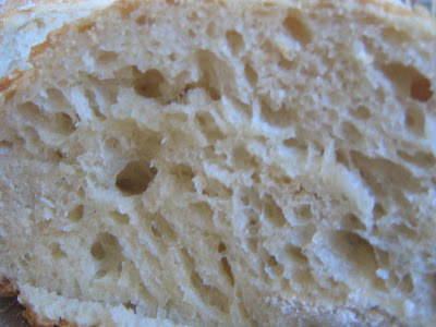 http://1.bp.blogspot.com/_yVddF7Ear2I/RbcdIEmvr9I/AAAAAAAAAo8/hxwFx8BIfYU/s400/No-Knead+Bread+II+6.JPG