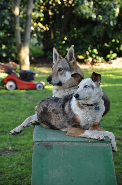 IN POSA...SULLA PASSERELLA
