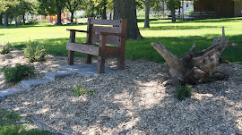 Volunteerism at Work in the Park