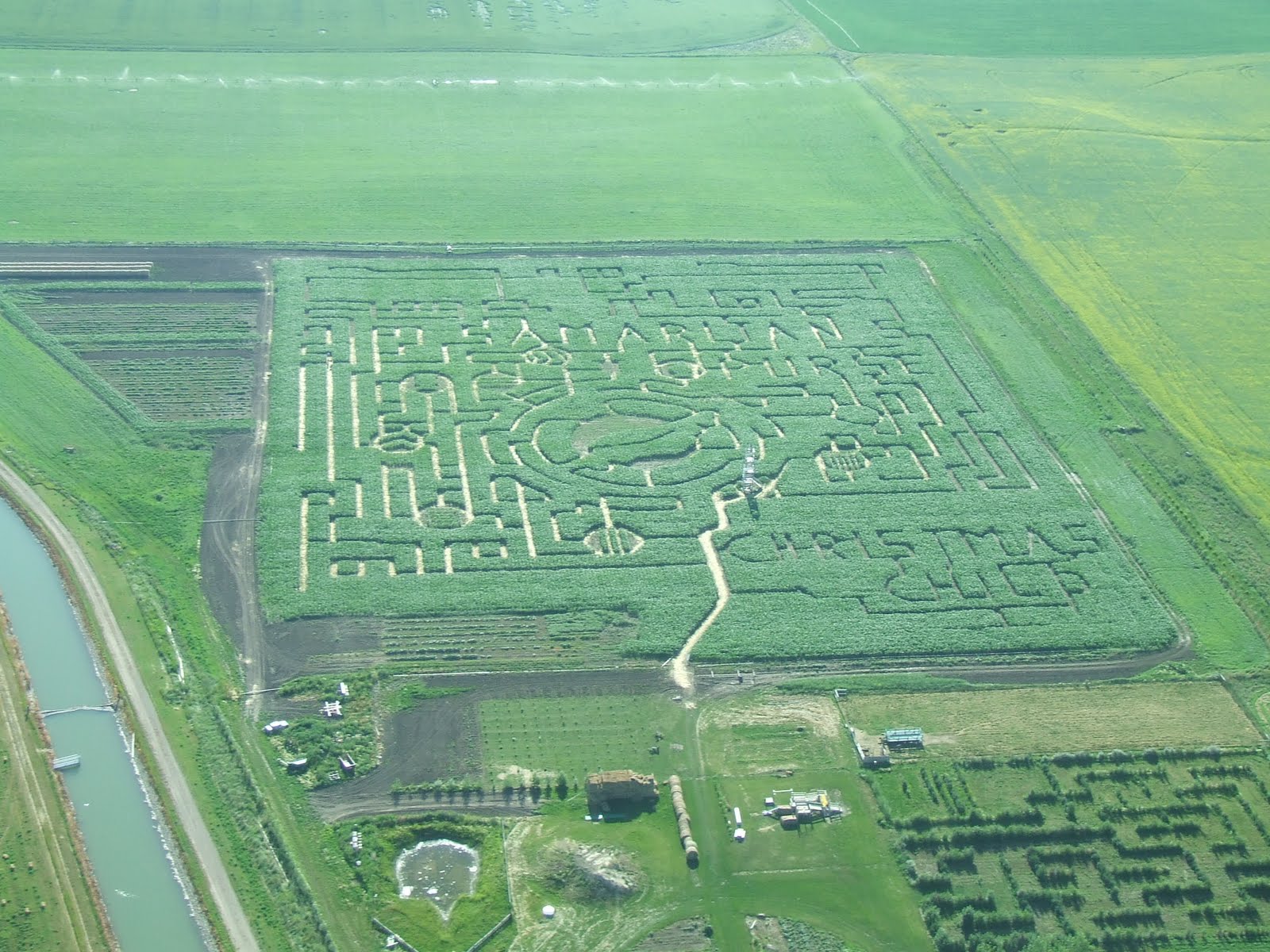 Lethbridge Cornmaze