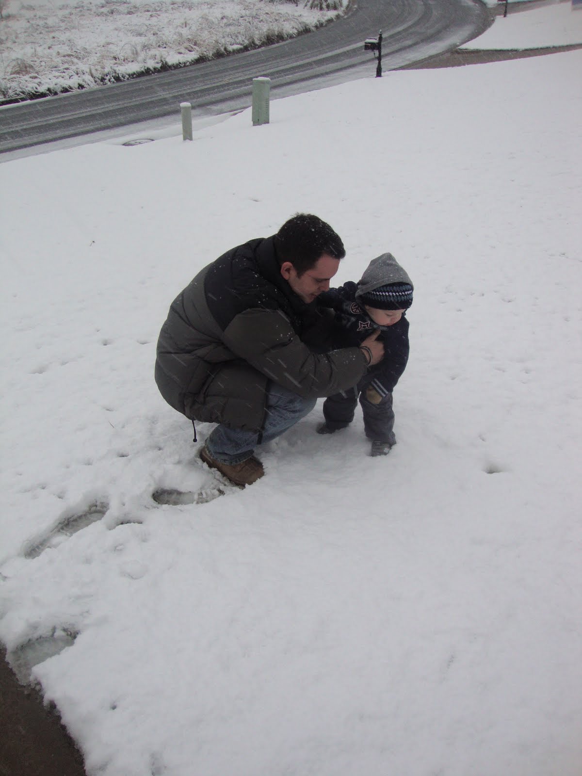 [DSC01480.JPG]
