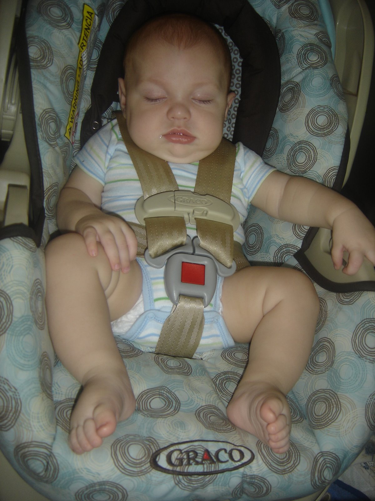 [DSC05304.JPG]