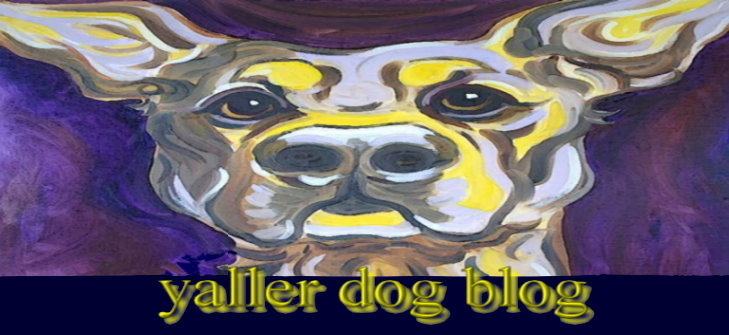 the yaller dog blog