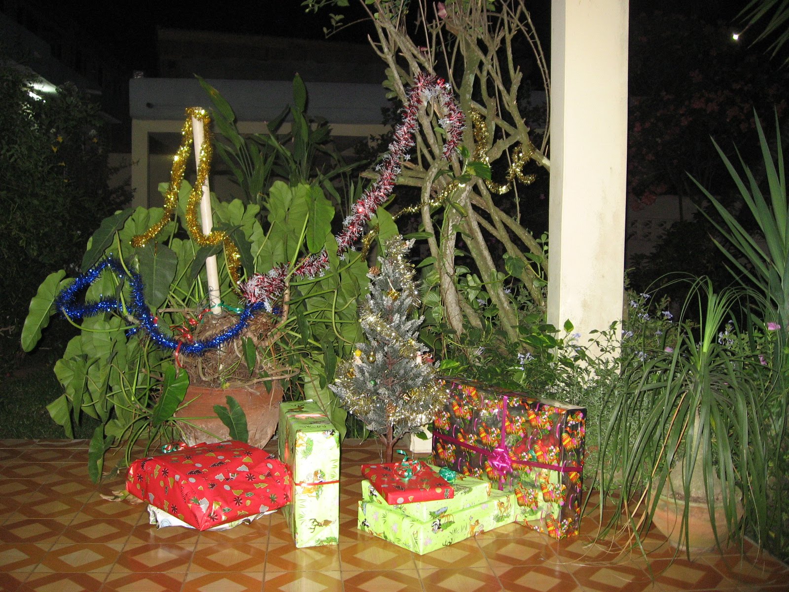 [IMG_2984.JPG]