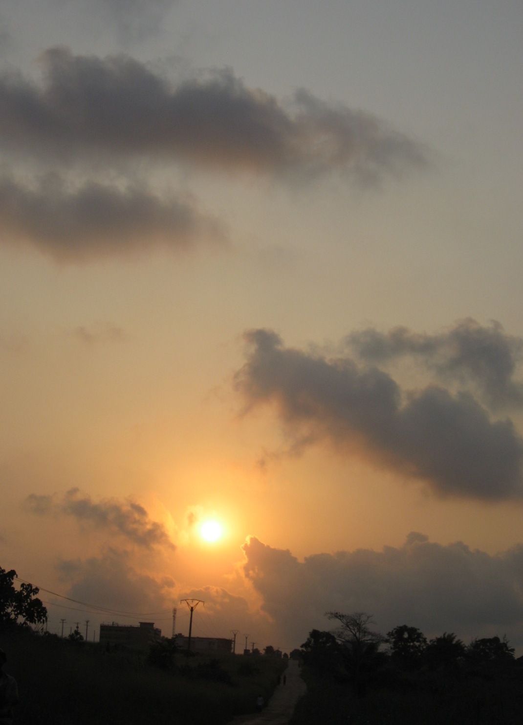 [IMG_2980.JPG]