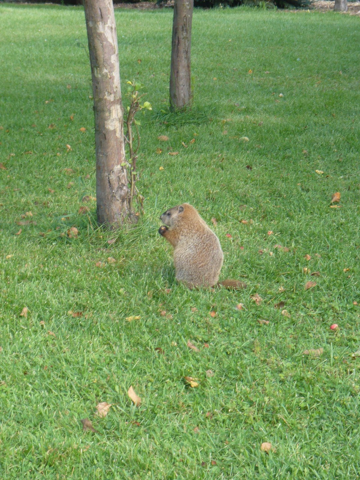 [P1060895.JPG]