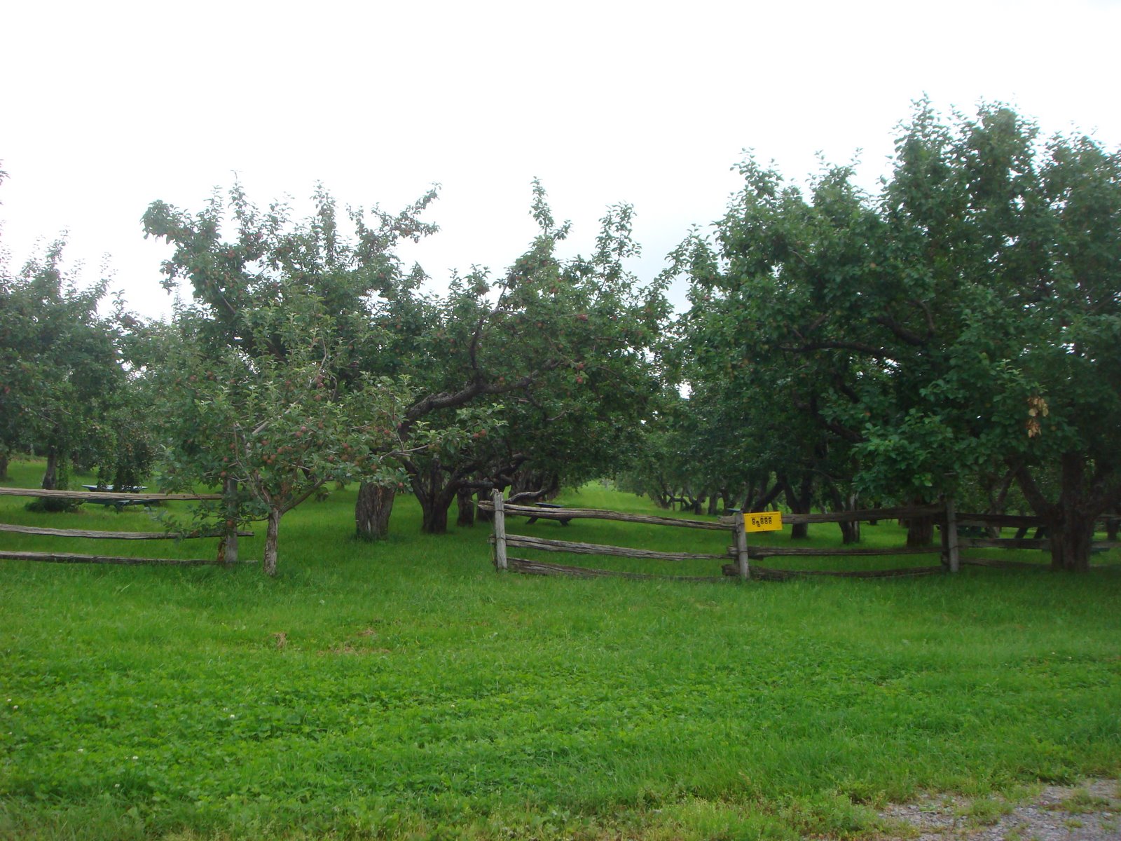 [DSC01704.JPG]