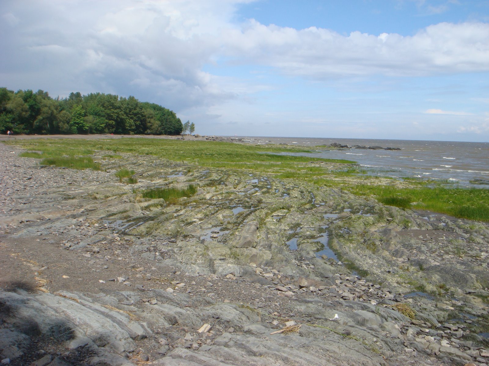 [DSC01741.JPG]