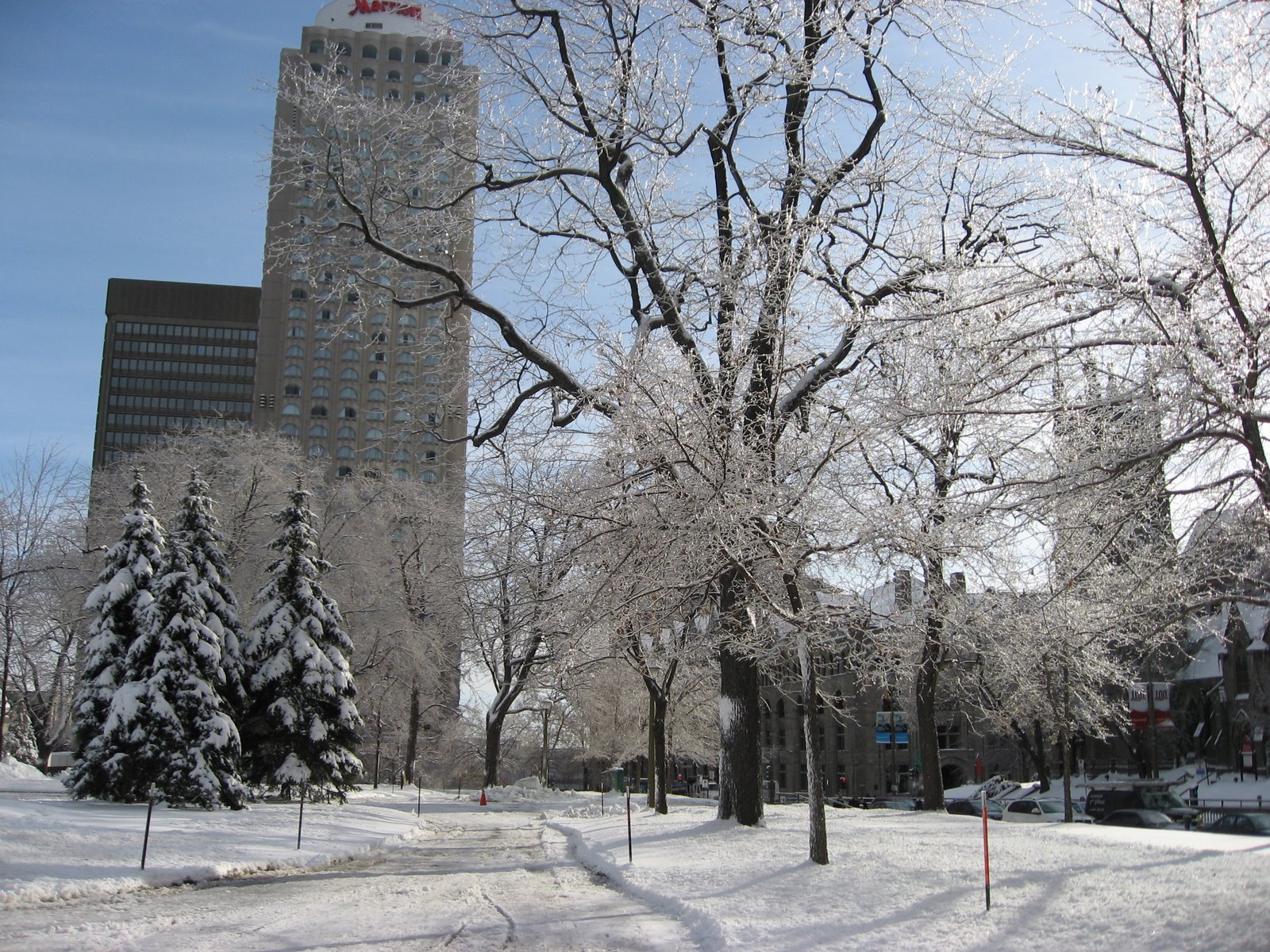 [IMG_0173.JPG]
