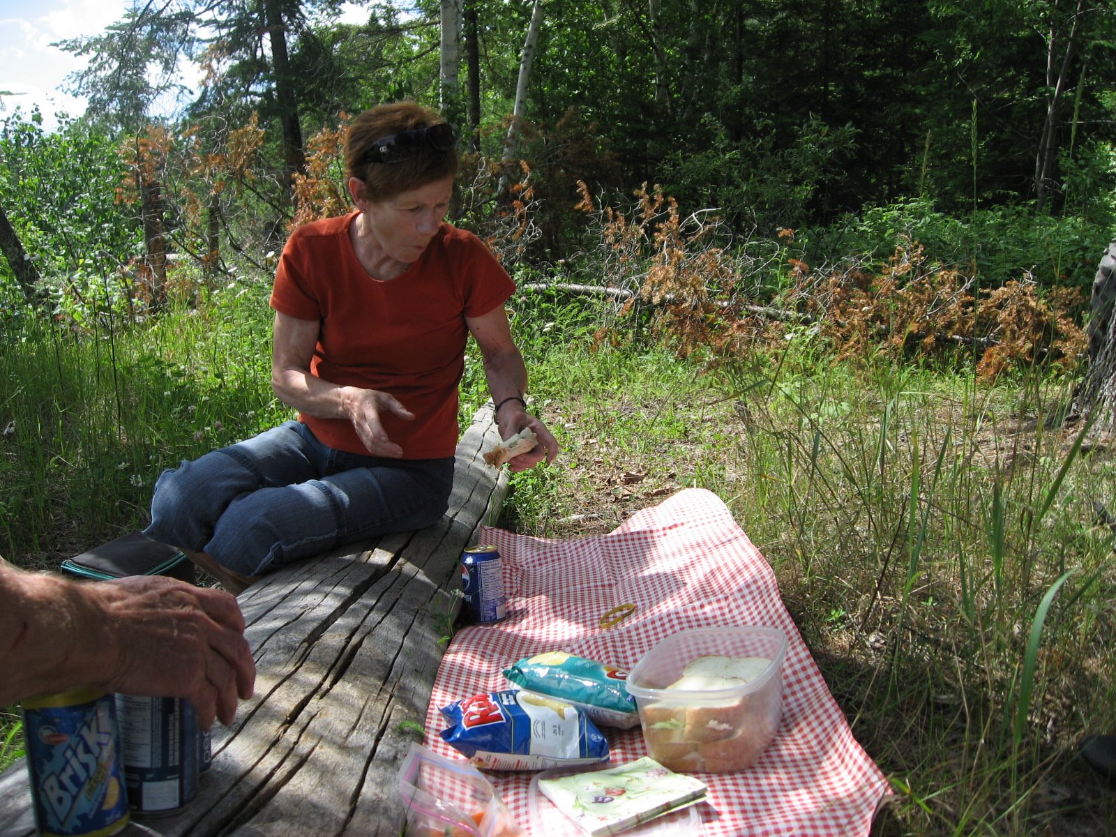 [IMG_1556.JPG]