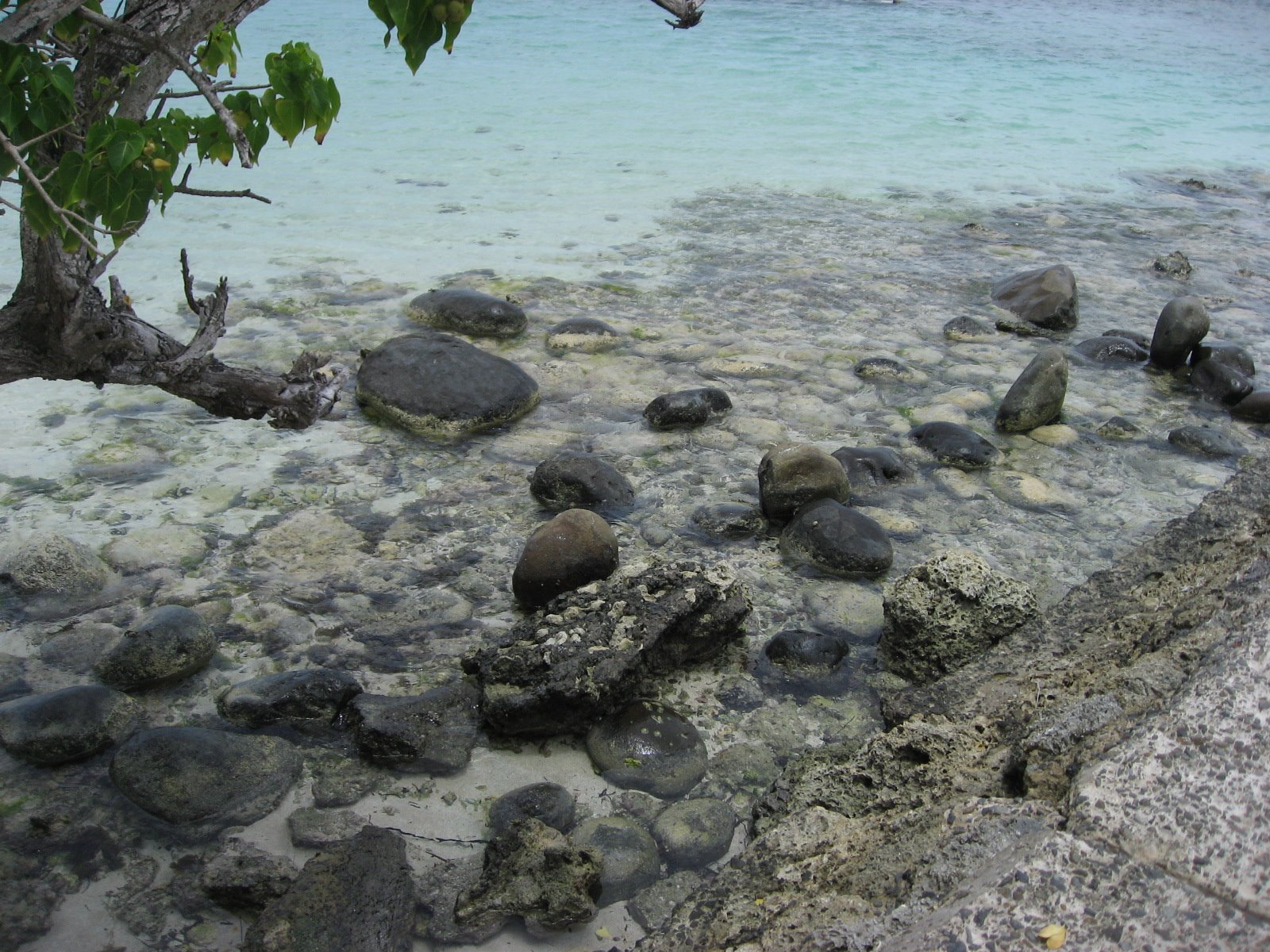 [IMG_2279.JPG]