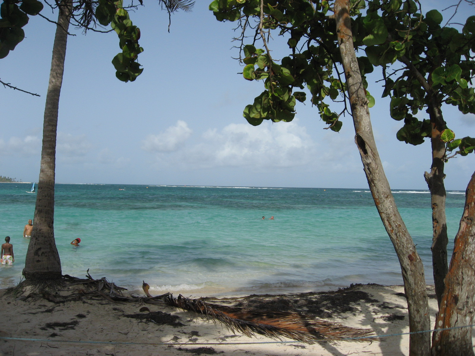 [IMG_2297.JPG]