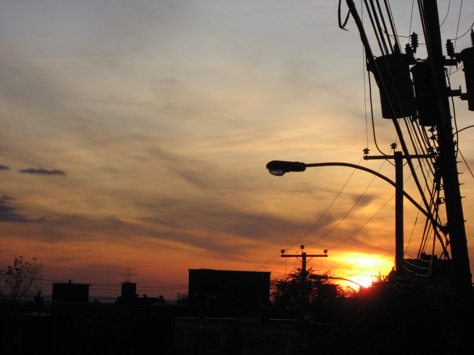 [IMG_2575.JPG]