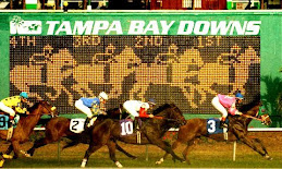 Tampa Bay Derby (GIII) $300,000