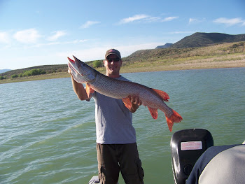 Monster Yuba Pike