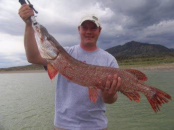 37 inch Yuba Pike