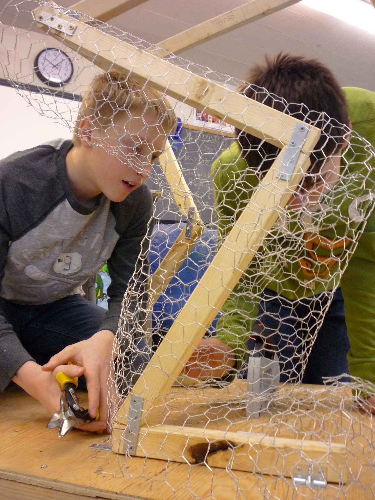 rippowam-raptor-the-chicken-wire-going-on-the-body