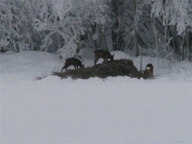 [IMG_5529+(Small).jpg]