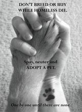 One by one until there are none... Adopt a pet.