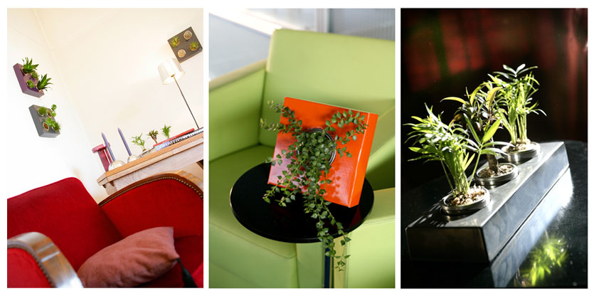 [flowerbox-compo.jpg]
