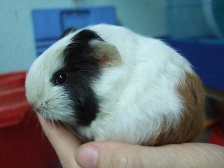 [Dec+3,+2008+040.jpg]