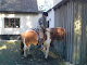 Mit billede