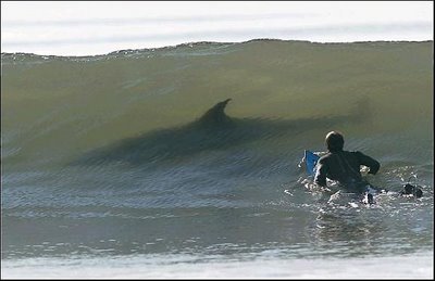 [Surf-Perigoso.jpg]