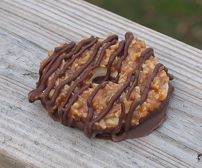 A close up photo of a girl scout copycat somoas cookie on a wooden plank.