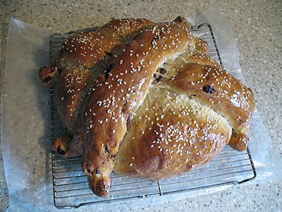 A close up overhead photo of artos bread resting on a cooling rack.