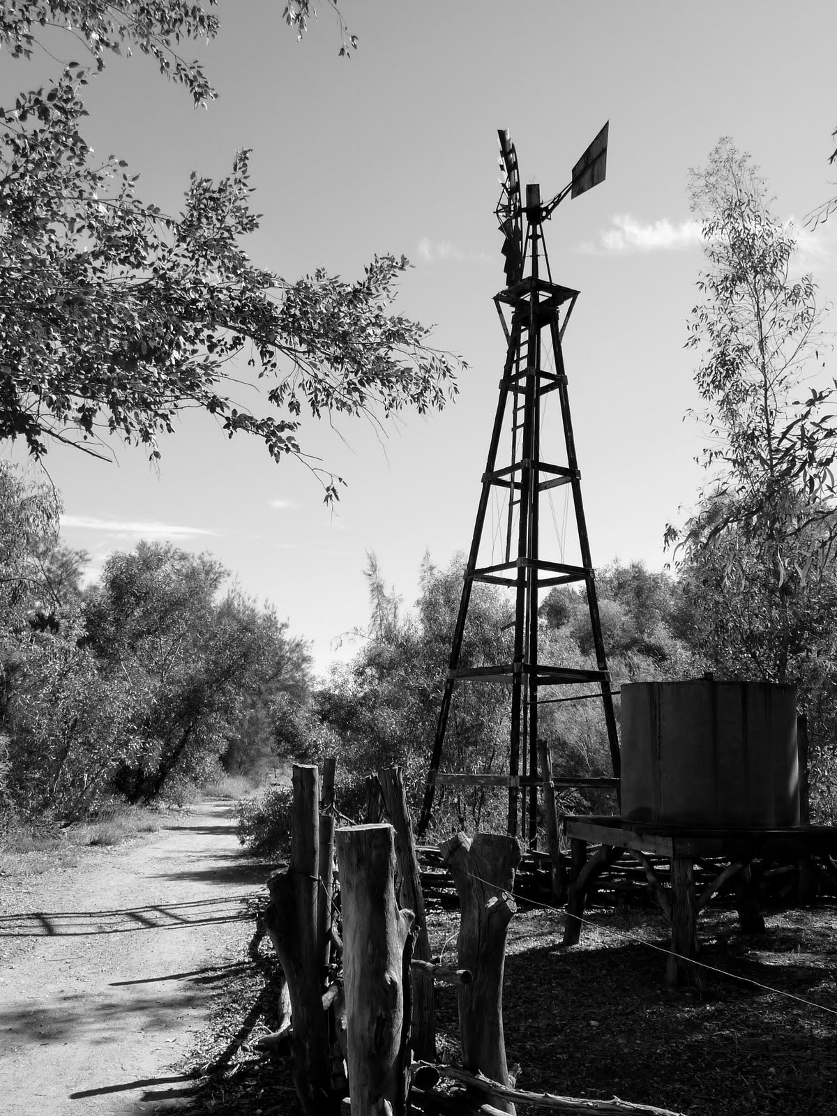 ARIZONA SKIES: Bryce Thompson Arboretum