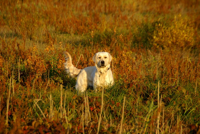 DSC07797.JPG